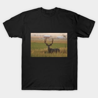 Morning Light Mule Buck T-Shirt